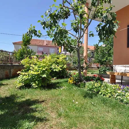 Allegria